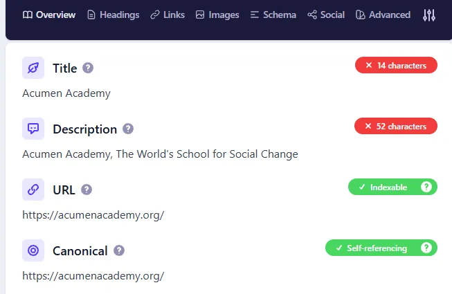 After: a self-referencing canonical on the homepage for Acumen Academy